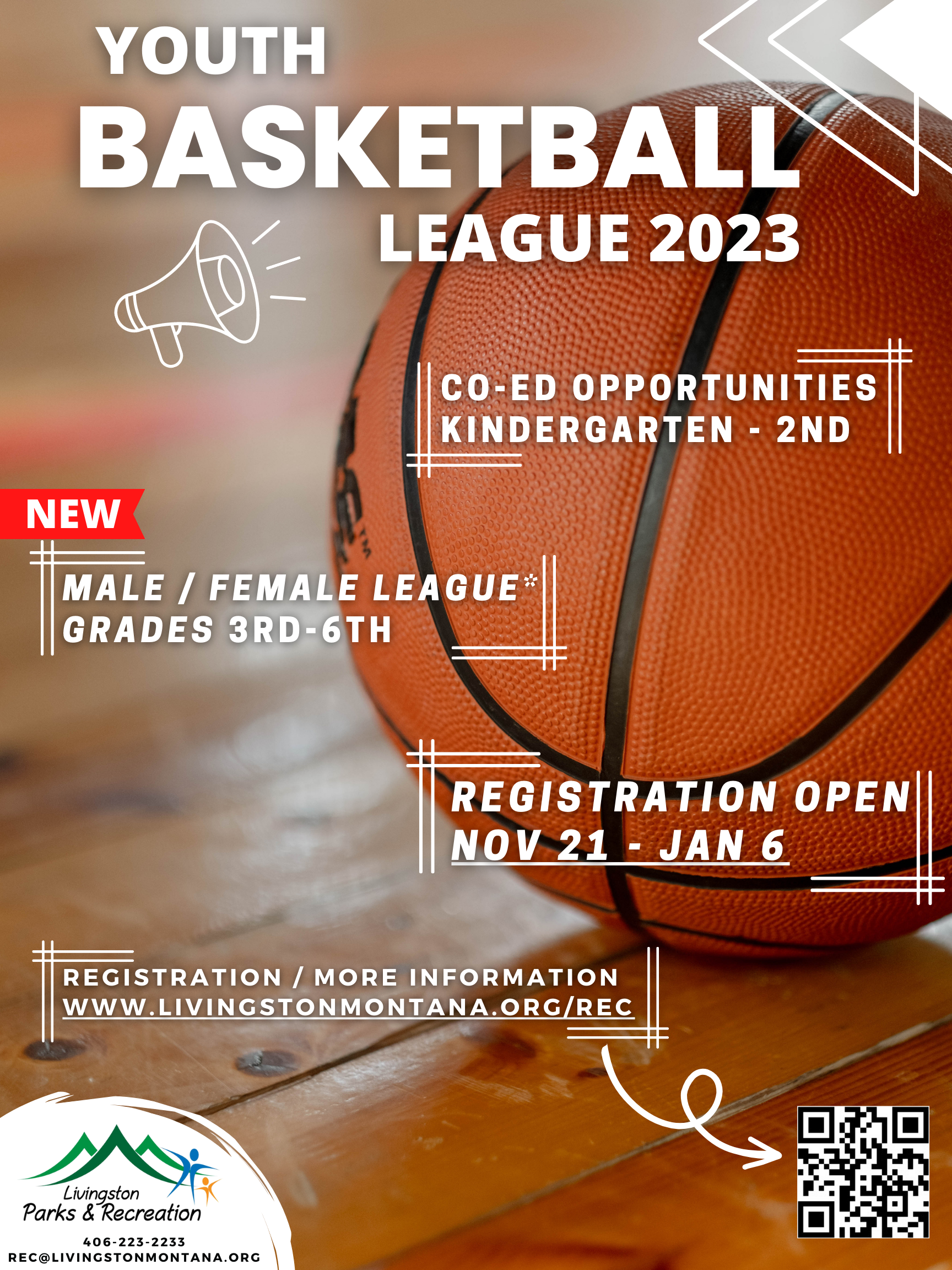Youth Basketball Details